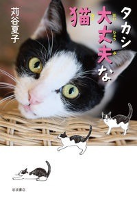 タカシ大丈夫な猫